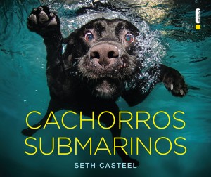 CAPA_Cachorros-submarinos_WEB