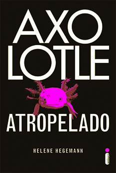 Axolotle atropelado 